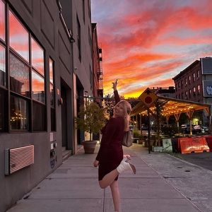 Velvet Vintage Calvin Klein Dress